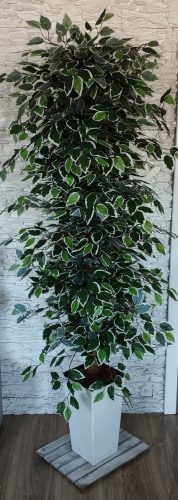 Ficus artificial Benjamina 170 cm Decor