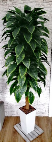 Arborele artificial Ficus Ficus 175 cm! Frumoasa!