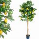 Pom fructifer artificial de lamaie 184 cm