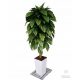 Ficus Smochin artificial ghiveci alb negru 140 cm