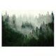 Fototapet Lavabil Forest In The Fog LAMINAT 368x280