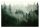 LAVABIL Forest In The Fog LAMINAT fototapet 460x300