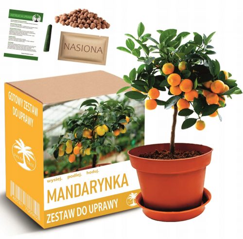  Kit de cultivare a arborilor TANGERIN în miniatură