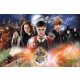  Puzzle Trefl Harry Potter 300 piese Puzzle 300 Mysterious Harry Potter TREFL 23001