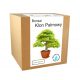  Set pentru cultivarea unui copac Bonsai, frunze de palmier de arțar