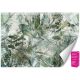 Fototapet 3D mare pentru Living Living Forest 450x315