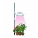  Lampa de podea GROW pentru cresterea plantelor Sunmag 20 W