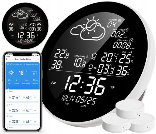 Senzor de temperatura zjh6586 WIFI TUYA alarma sonora