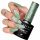  HIBRID POLISH HIBRID SAGE VERDE VERDE 801