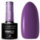  CLARESA Purple 636 5 g lac hibrid