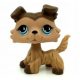  LPS Collie Littlest Pet Shop Figurină Câine Câine