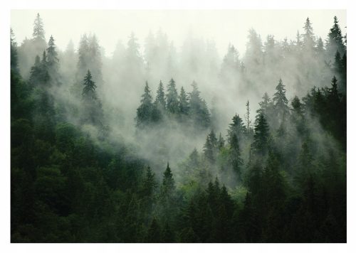 NATURE FOREST in ceata fototapet 400x280cm pentru sufragerie