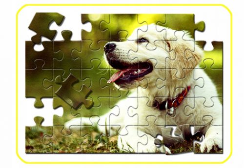  Puzzle foto cu imprimeu propriu 28,5x40,5cm 192 buc