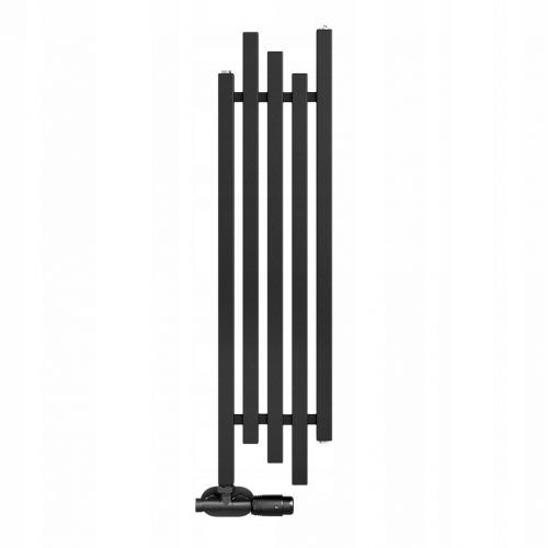  Radiator baie cu apa Regnis 630 W 300 x 1000 mm negru