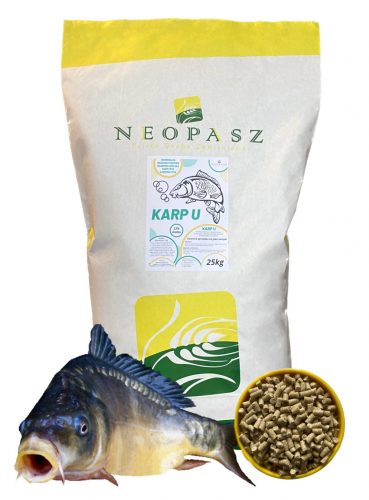  ALIMENTARE Hranaj ALIMENTAR PENTRU PESTE MOMEALA PESTE CARP 25KG