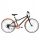  Bicicleta de trekking pentru copii Riverside 500 24".