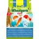  Tetra Pond Wheatgerm Sticks hrana pentru peste 7 l