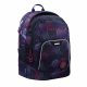  Rucsac scolar multicompartiment Coocazoo, multicolor, 24 ani