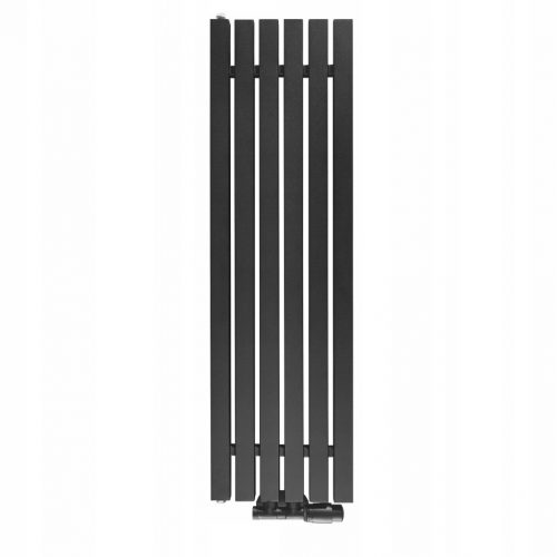  Radiator baie cu apa Regnis 438 W 290 x 1000 mm negru