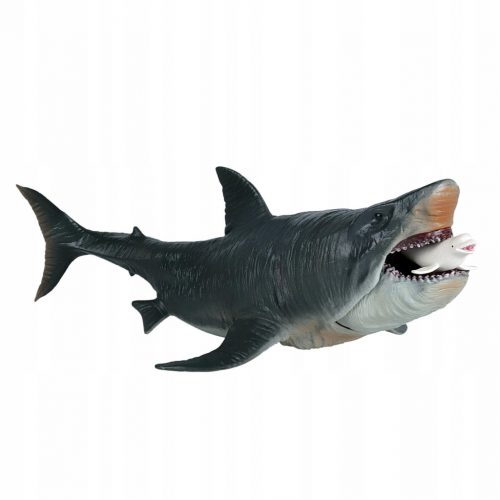  Model educațional al unui rechin Megalodon realist