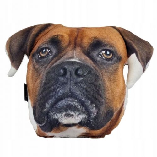  PERNA 3D cu un CAINE BOXER, un caine boxer