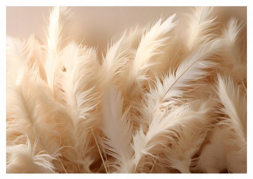 Fototapet 3D FEATHERS pentru dormitor, living, 312x219