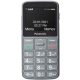  Telefon mobil Panasonic KX-TU160EXG 32 MB 2G gri