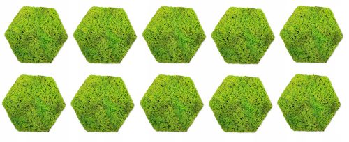 Panou decorativ muschi hexagonal, muschi hexagonal, 10 buc