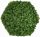 Hexagon moss Poza cu hexagon moss 38x43cm