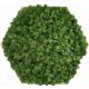 Hexagon moss Poza cu hexagon moss 38x43cm