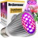  Bec Heckermann 30 W GROW pentru cultivarea plantelor