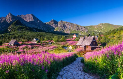 TAPET FOTO PENTRU DORMITOR, SUFRIG, SALA GASIENICOWA TATRAS PERETE 390x254