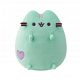  PUSHEEN MINT cu o mascota de inimă 19cm HAPPY