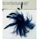  Cap fascinator BROȘĂ PIN Coefcă FEATHER MARIN BLUE