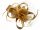  Cap fascinator PIN Headdress BEIGE Lolita Accesorii