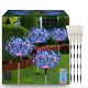  LAMPĂ SOLARĂ LED ARBOR Păpădie FOCURI DE ARTIFICIA MULTICOLOR 480LED 4BUC