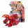  BAKUGAN LEGENDS DRAGONOID X TRETOROUS FIGURA