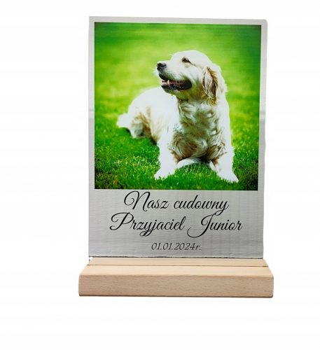  Statuetă cu fotografie - câine pisică iubit animal dow placa gravată 22x17