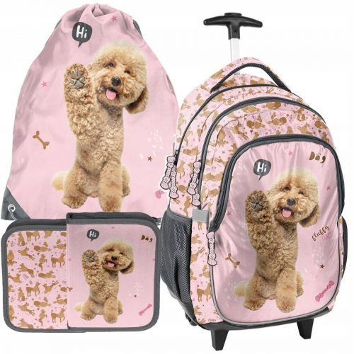  Rucsac școlar Paso cu mai multe compartimente Nuanțe de roz, Multicolor 28 l + alte 2 produse