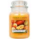  Lumanare traditionala cu parafina Mango Yankee Candle 1 buc.