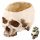  CONTAINER PENTRU HALLOWEEN ORNAMENT CAP DE CRANIU