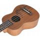  SOprana UKULELE MIX54 + SET 10 ACCESORII