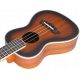  Ukulele de concert QBT