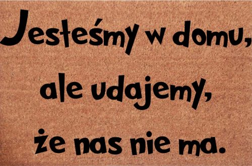  MATRICE DE INTRARE Amuzant Suntem acasă, dar ne prefacem că nu suntem acolo