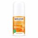  Weleda Sanddorn Deodorant Roll-on 50 Ml