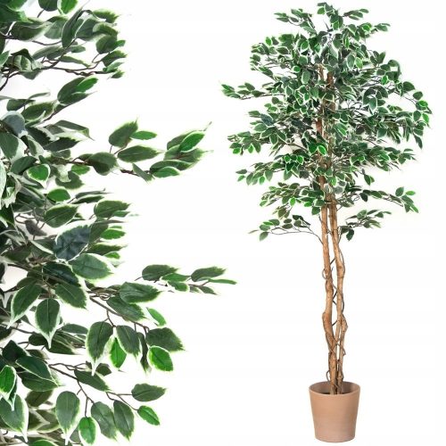 Ficus decorativ decorativ 190 cm M01654