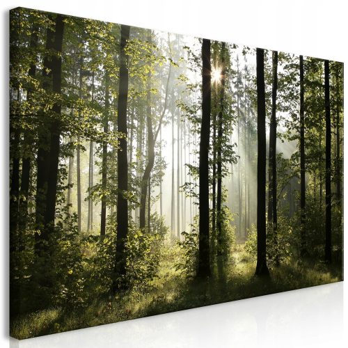 OBRAZ XXXL DIY NATURILE 160x80 cB-0254-ak-e